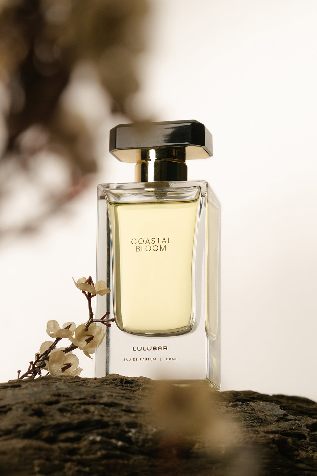 Coastal Bloom