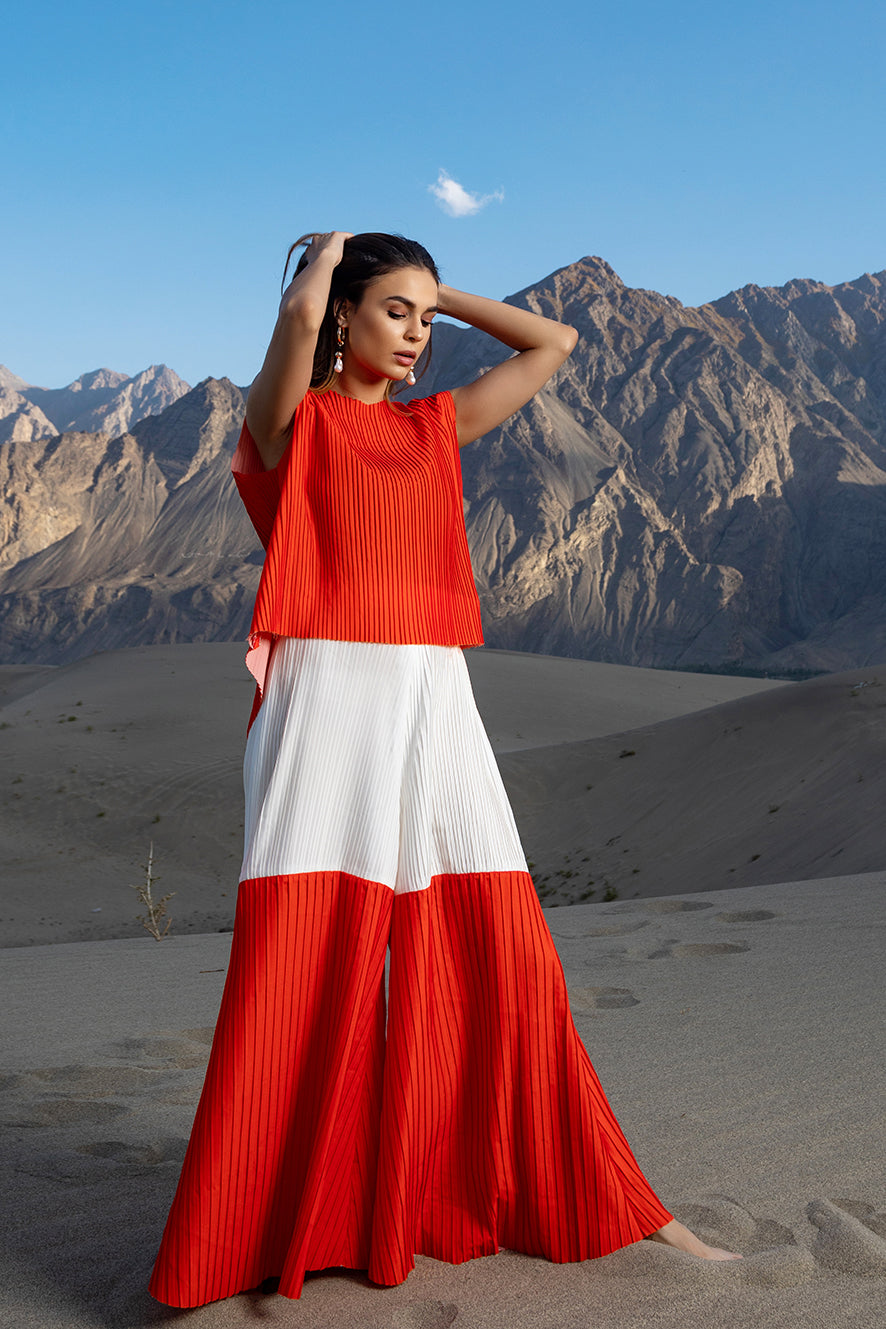 Biran Pleated Top