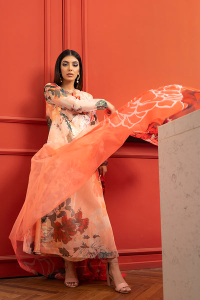 Diamer Dupatta