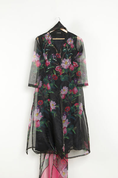 Birsin Sari Dress