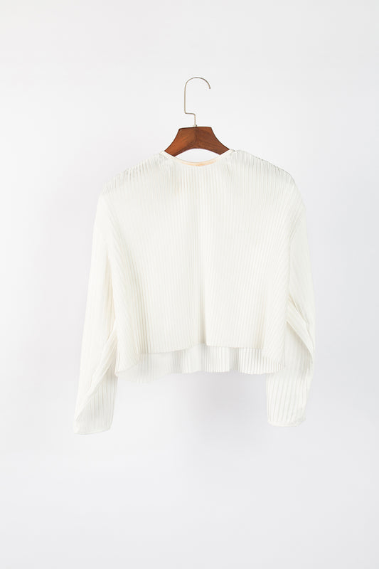 Flared Sun Pleated Top (With Sleeves)