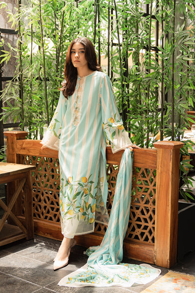 Doarin Dupatta