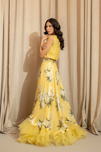 Daenar Crop Top & Skirt (Sleeveless)