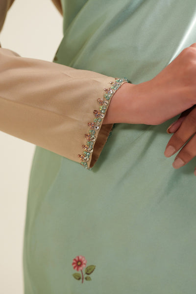 Gulban Crop Top & Saree (2Pc)