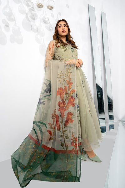 Dilaz Dupatta